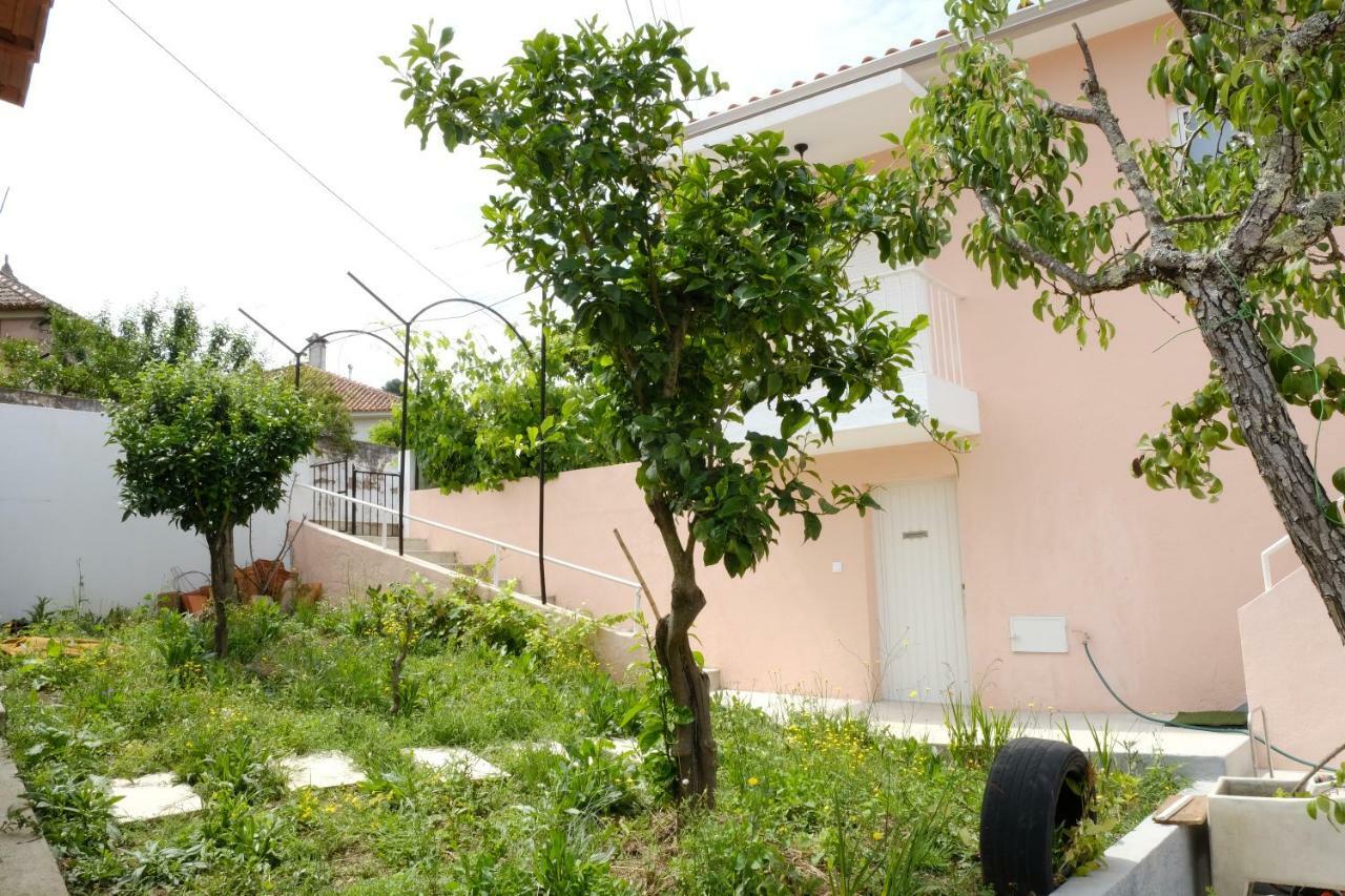 Vale Coelhos Casa De Campo Sarnadela Exterior photo